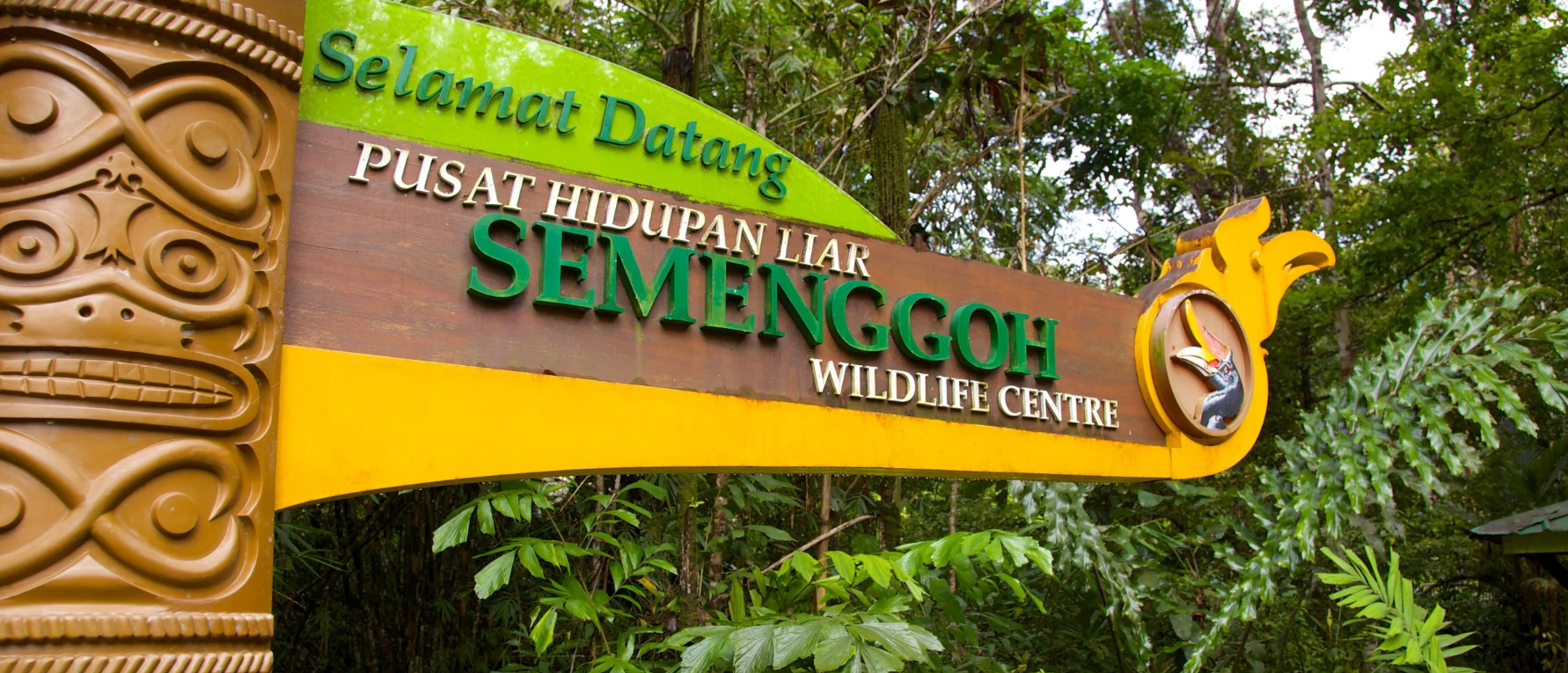 投稿についてもっと詳しく 【セメンゴ野生動物保護センター】オランウータンの楽園を訪ねて