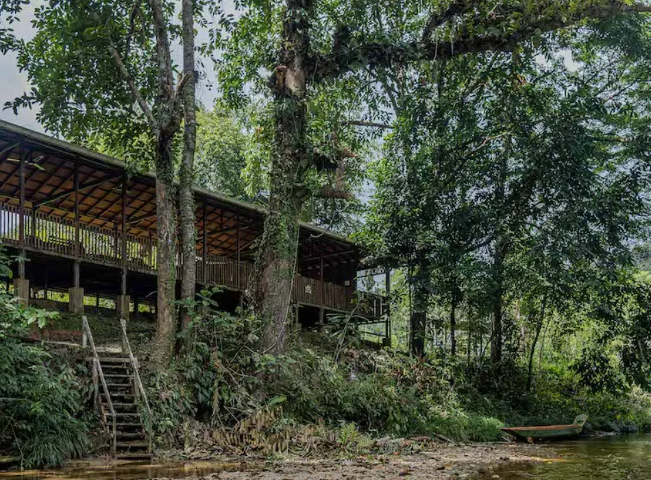 あなたが現在見ているのは 湖の底に沈んだ村と、森の中のロングハウス・ホテル：バタン・アイの記憶